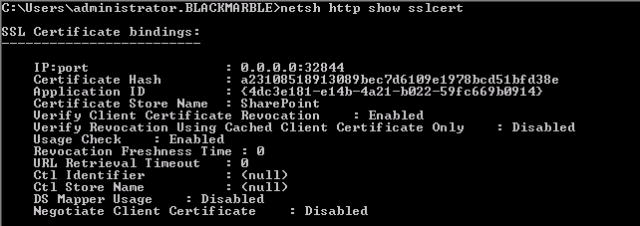 Output from netsh http show sslcert